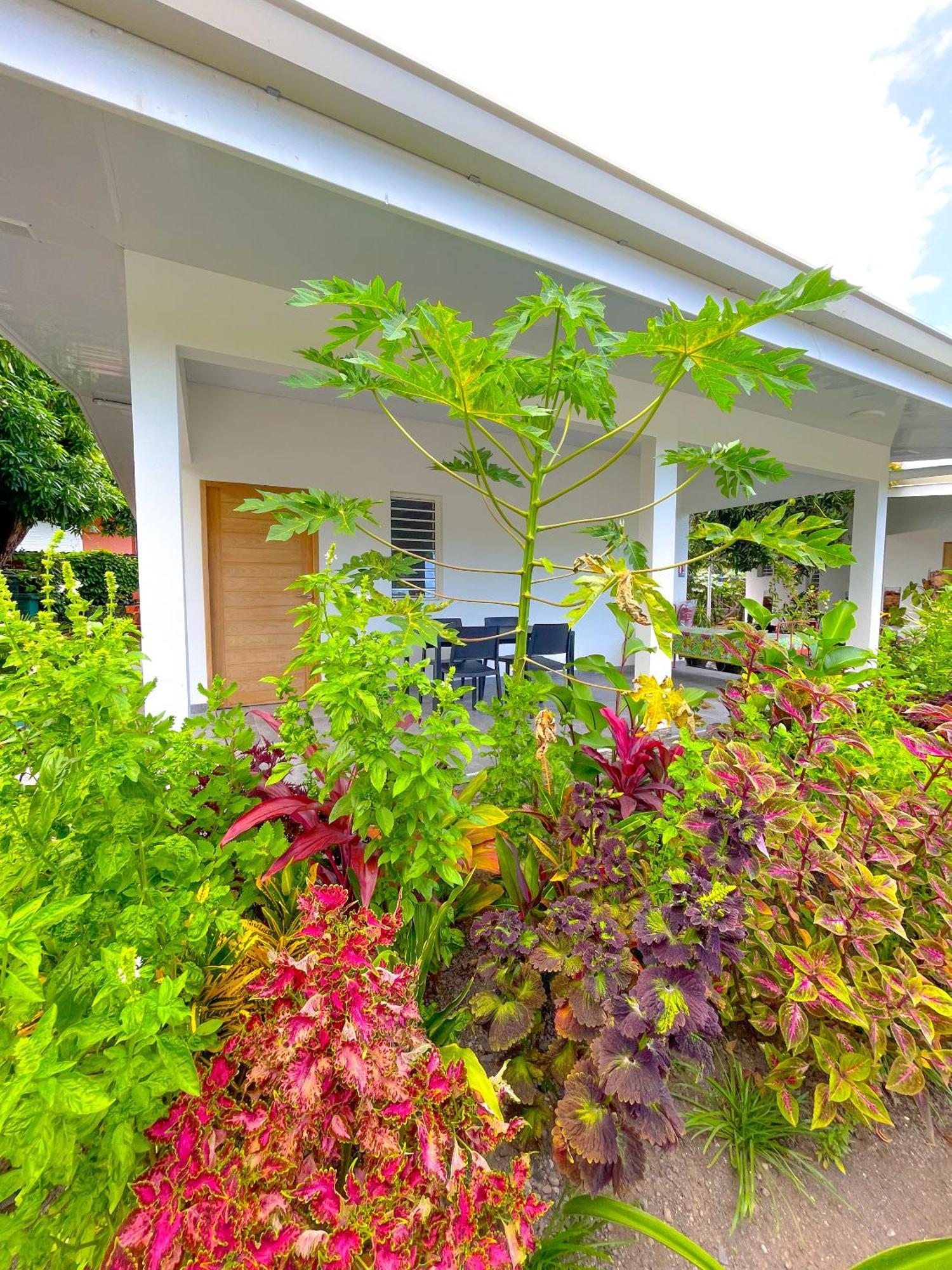 Pare Lodge Tahiti Pirae Экстерьер фото
