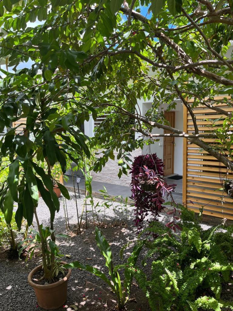 Pare Lodge Tahiti Pirae Экстерьер фото
